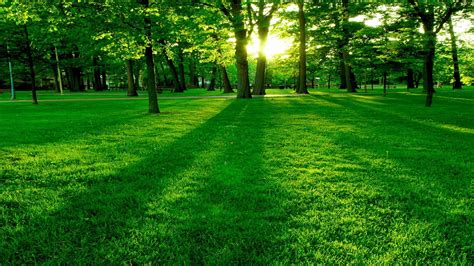 Green Wallpapers: Free HD Download [500+ HQ] .